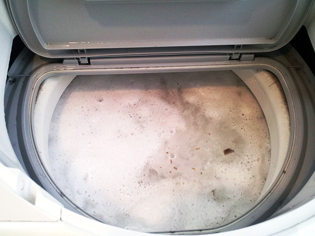 面倒な洗濯機掃除が簡単に 汚れがごっそり取れる洗い方のコツ 水まわりのお掃除 おそうじ本舗が教える自宅の掃除術