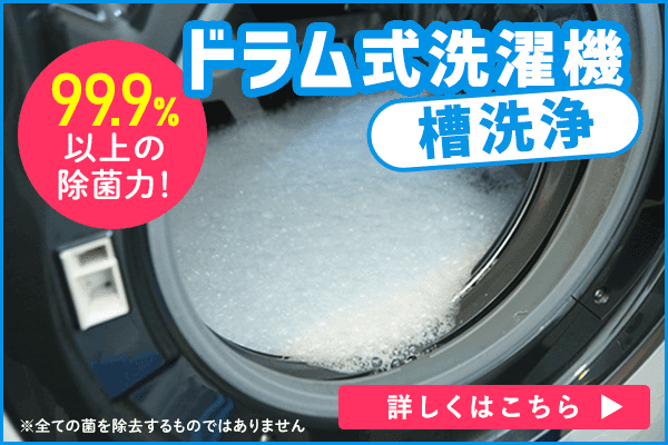 長い梅雨後の秋冬カビ ドラム式洗濯機のカビに注意 臭いを除去するお掃除とメンテナンスをプロが伝授 くらしスタイル研究所